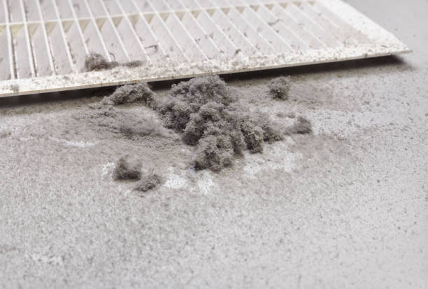 Best Local Air Duct Cleaning Services  in Edgewood, KY