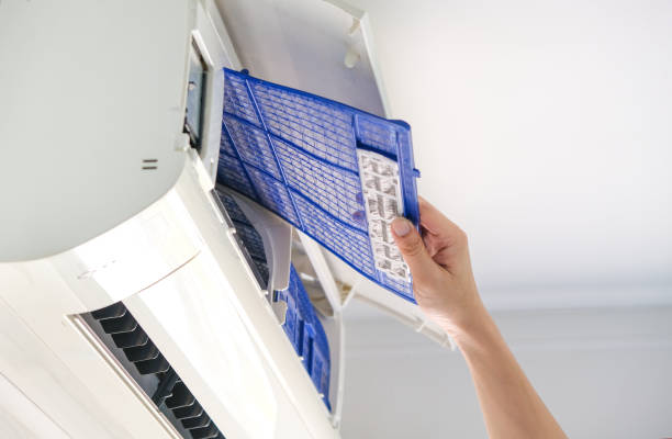 Best Affordable Duct Cleaning Services  in Edgewood, KY